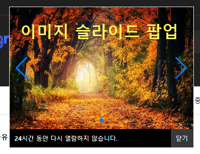 이미지 슬라이드 팝업