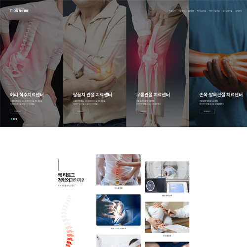 [티로그시안] 척추.관절 의료 단순 시안(index.psd)